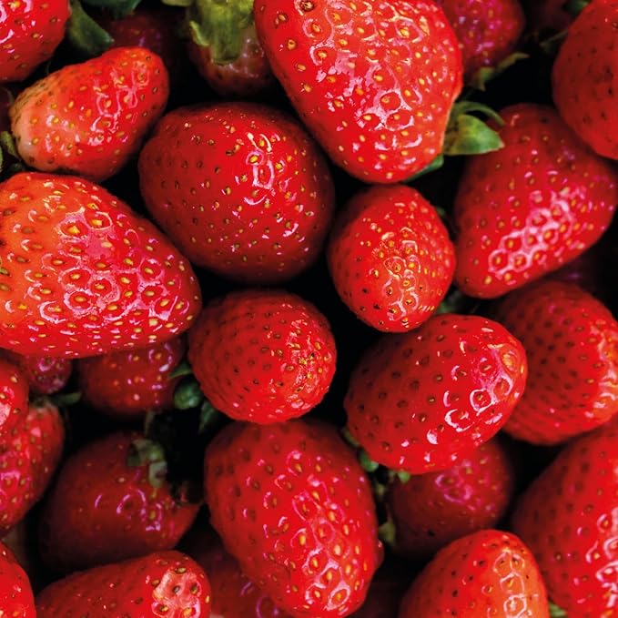 Nativa SPA by O Boticário, Ruby Strawberry Antioxidant Body Lotion, Brightening Vitamin C and Nourishment for Radiant Skin, 13.5 Ounce-FemmiqueWomen