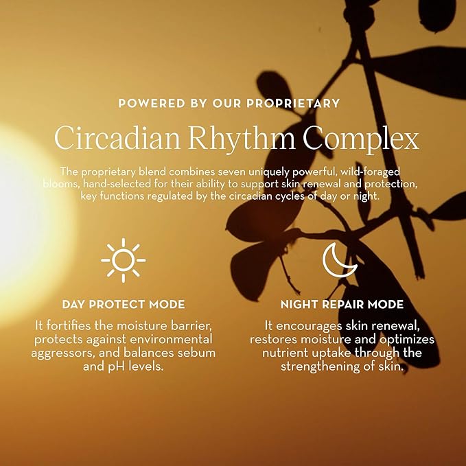 Furtuna Skin Daily Renewal Cream - Daily Moisturizer, Advanced Skin Hydration Technology, Radiance & Balance Enhancing, 95 Percent Natural-FemmiqueWomen