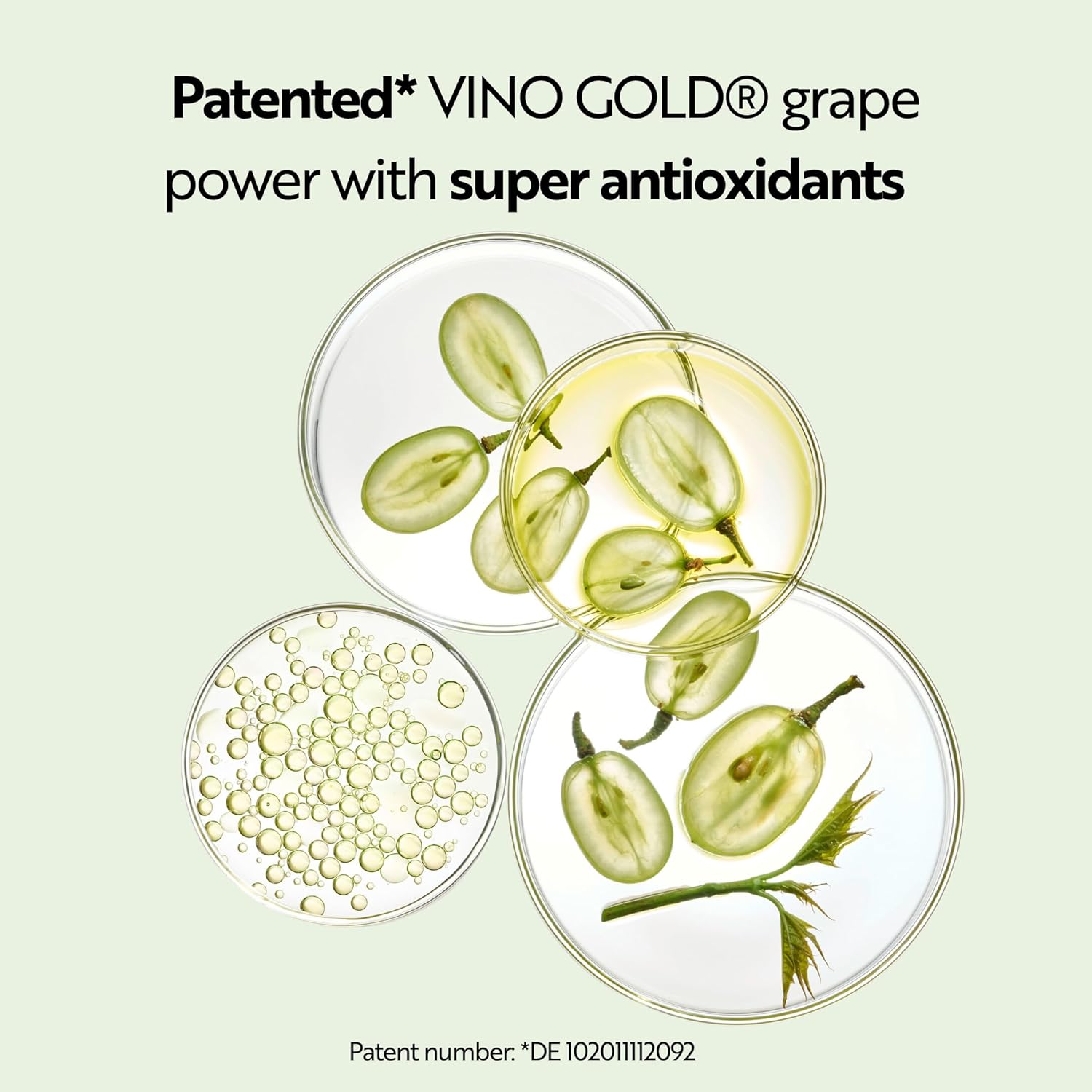 M. Asam VINO GOLD Firming Body Cream (16.9 Fl Oz)- anti-aging body care for smooth skin, lotion for women with aloe vera, cocoa butter, caffeine, vitamin E & vitamin B3, vegan personal skin care.-FemmiqueWomen