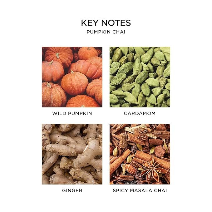 NEST New York Liquid Soap, Pumpkin Chai - 10 fl oz - Cleanses & Nourishes Skin - Approx. 300 Pumps Per Bottle - Gluten Free & Cruelty Free-FemmiqueWomen