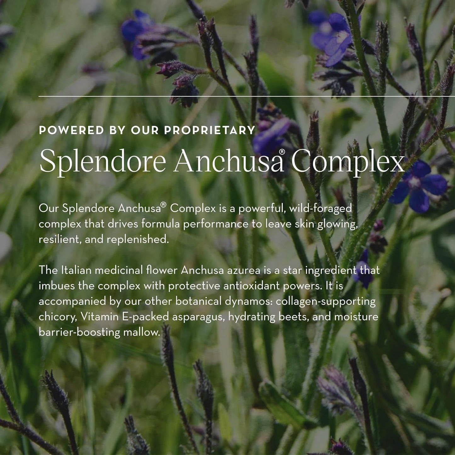 Furtuna Skin Micellar Cleansing Essence Water - Dual-Use Cleanser & Toner, Nutrient-Rich, pH Balanced, Organic Botanicals, Dermatologist Approved - 15ml-FemmiqueWomen