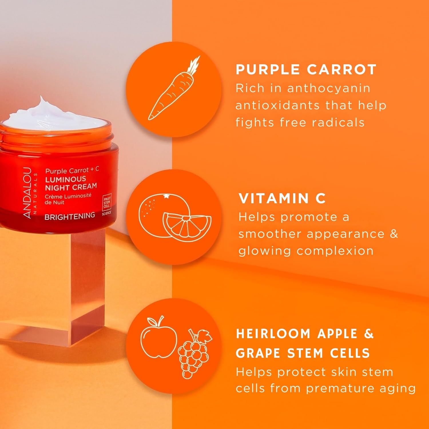 Andalou Naturals Purple Carrot + Vitamin C Luminous Skin Night Cream - Hydrating Face Moisturizer - With Fruit Stem Cell Complex for Radiant Skin - 1.7 fl oz-FemmiqueWomen
