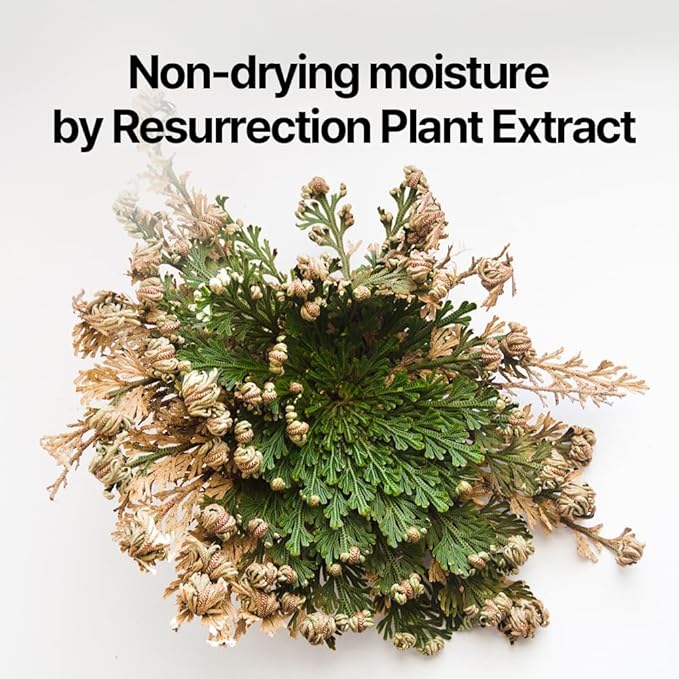 Pyunkang Yul PKY Dancheong Body Lotion, Intensive Moisture, Natural Scents with Essential Oils, Inspired by Fade-Resistant Korean Dancheong, Zero Irritation, Korean Skincare (11.83 Fl. Oz, 350ml)-FemmiqueWomen