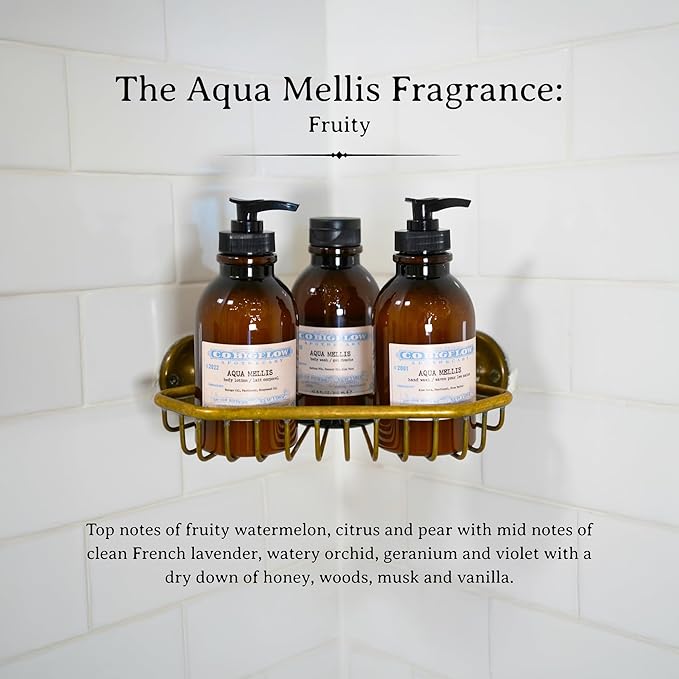 C.O. Bigelow Aqua Mellis Body Lotion, Iconic Collection Moisturizing Body Lotion with Shea Butter, Borage Oil & Grapeseed Oil, 10.5 Fl Oz-FemmiqueWomen