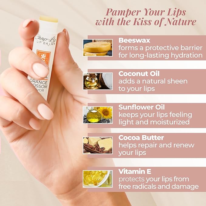 100% Natural Lip Balm Set - Hydrating and Moisturizing Beeswax Natural 4 Flavor Assortment - Lip Moisturizer for Dry Lips - Cocoa Butter - Petroleum Free Pack of 24-FemmiqueWomen