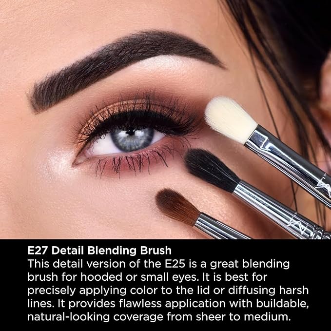 Sigma Beauty Professional E27 Detail Eyeshadow Blending Brush – Eyeshadow Application and Blending Brush - Apply Pigment and Blend Harsh Lines for a Well Blended Effect (1 Brush)-FemmiqueWomen