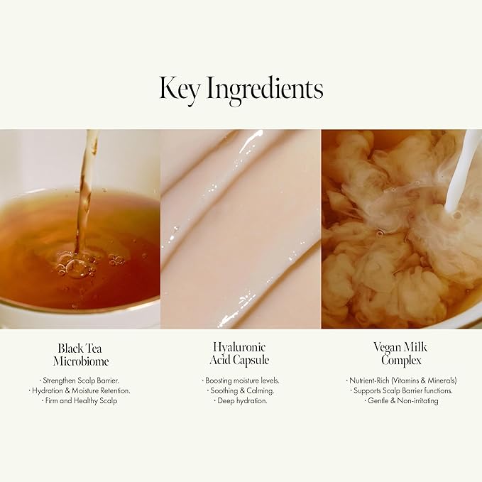 Vegan Nourishing Scalp Shampoo with Black Tea, Hyaluronic & Amino Acids to Strengthen Scalp Barrier, Creamy Woody Scent, Paraben, Sulfate & Silicone Free 450ml / 15.22 fl. Oz-FemmiqueWomen