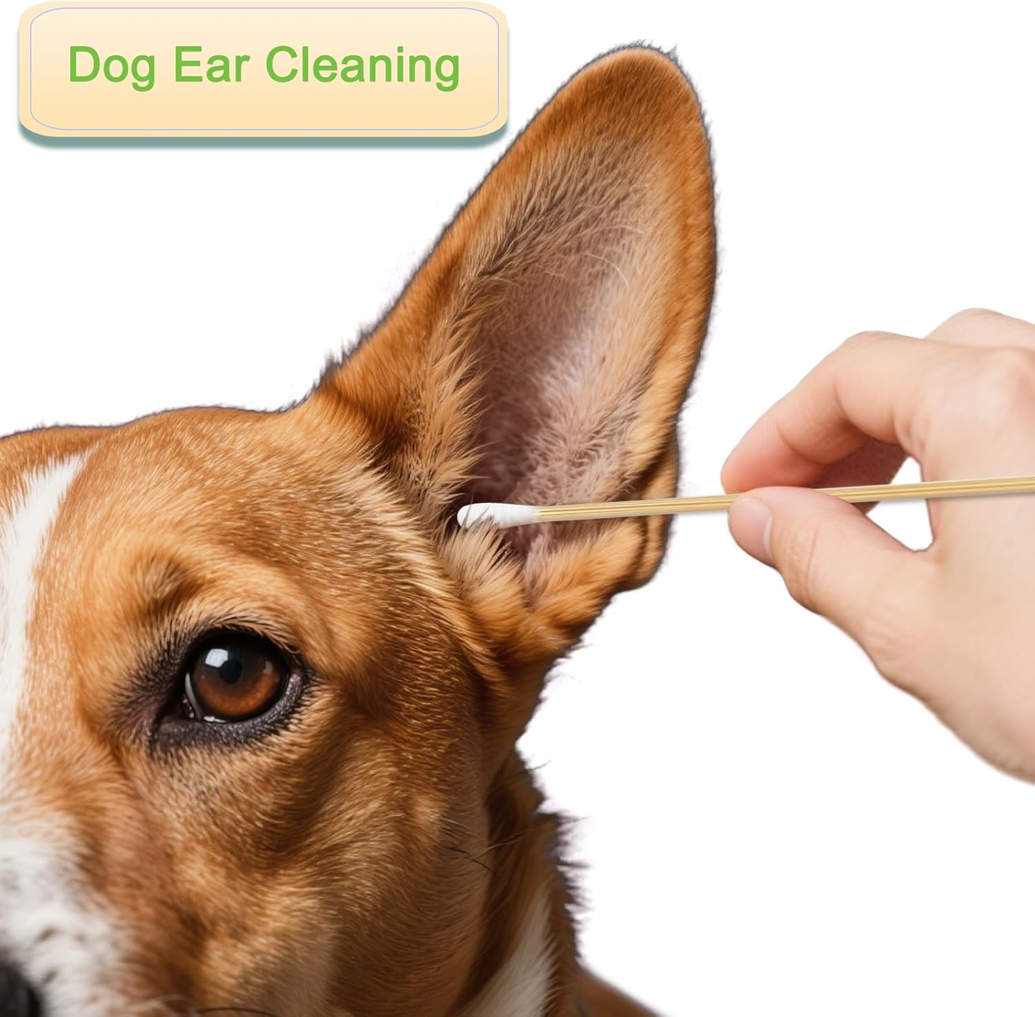 200 PCS Long Wooden Cotton Swabs, Cleaning Cotton Sticks with Wood Handle for Oil Makeup Gun Applicators, Eye Ears Eyeshadow Brush and Remover Tool, Cutips Buds for Baby and Home Accessories-FemmiqueWomen