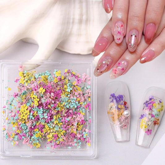 1 Box of Dried Flower Nail Stickers, Colored Dried Flower Nail Stickers, mini Real Flowers, Natural Flowers, 3D Baby's Breath Floral Art, Ladies and Girls DIY Nail Art Decoration-FemmiqueWomen