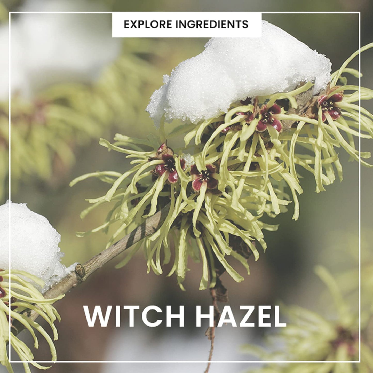 HEIMISH All Clean Green Foam Moisturizing Face Cleanser, Hydrating Gentle Gel Cleanser, Daily Face Wash for Sensitive Skin with Amino Acid, P.H 5.5, for Double Cleansing, Korean Skincare, 5.3oz/150g-FemmiqueWomen