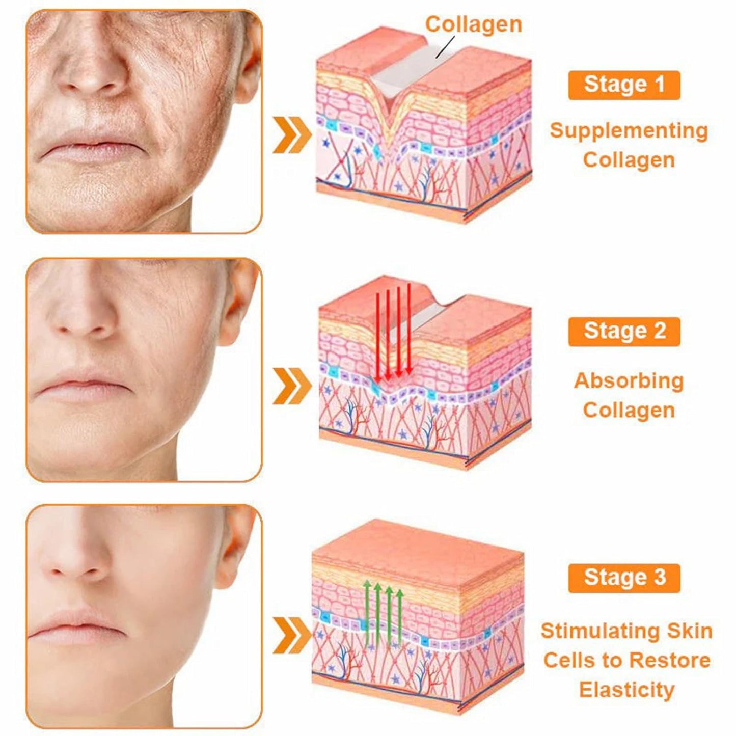 LipMaps Bee Venom skin Restoration Cream,Bee Venom Skin Treatment Cream,Deeply Moisturizing and Firming for All skin Types (1PC)-FemmiqueWomen