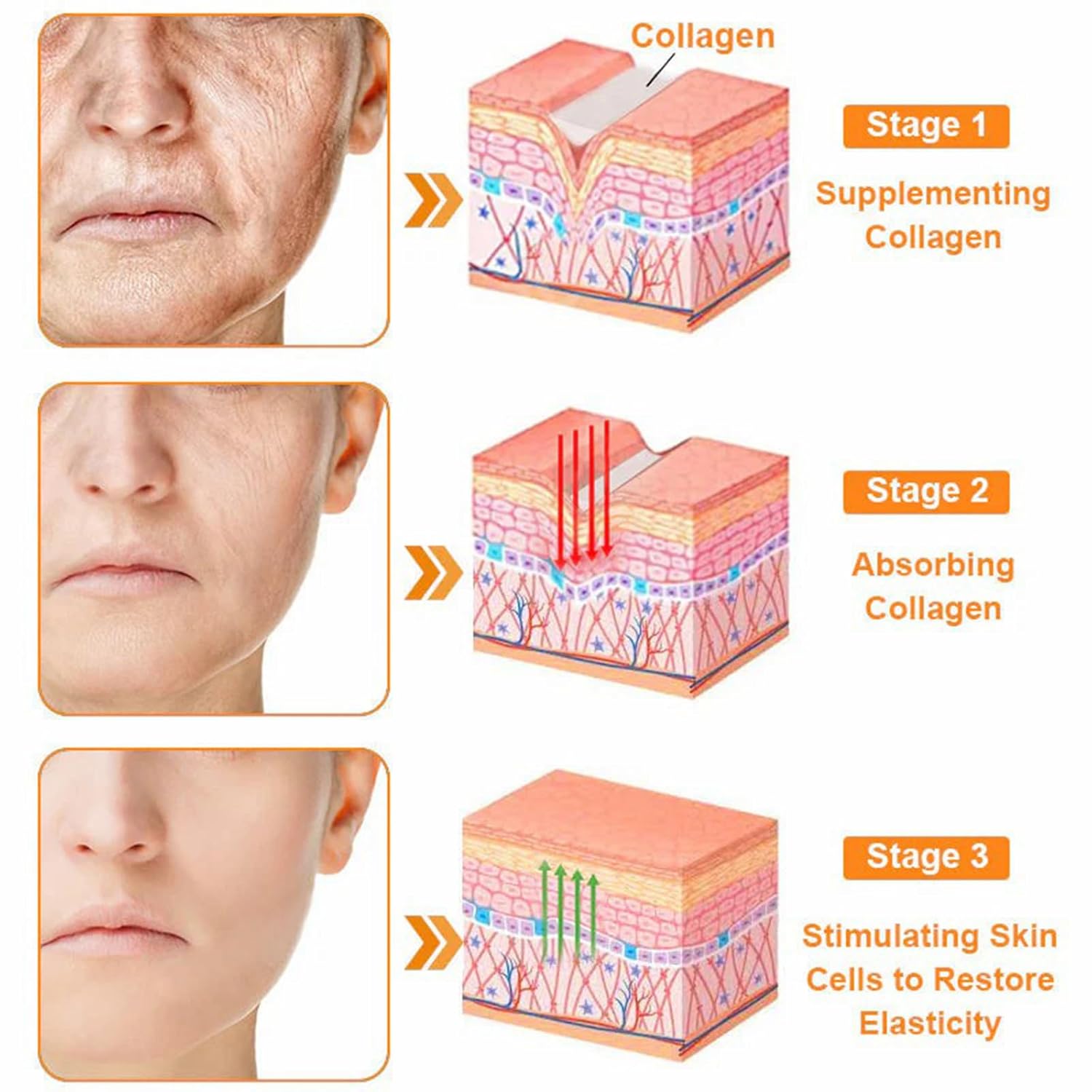 LipMaps Bee Venom skin Restoration Cream,Bee Venom Skin Treatment Cream,Deeply Moisturizing and Firming for All skin Types(2PCS)-FemmiqueWomen