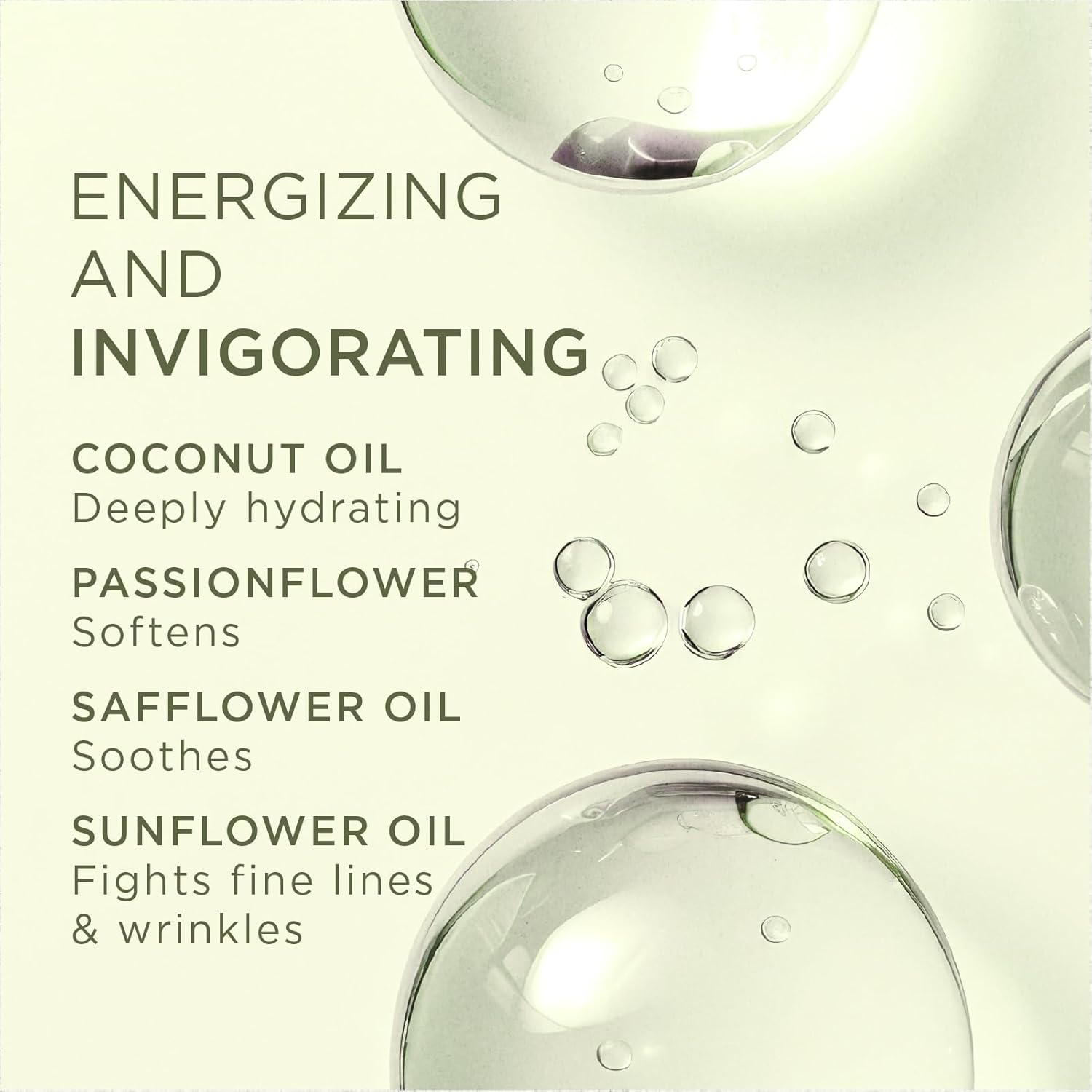 Zents Luminous Cashmere Body Oil (Oolong Fragrance) | Moisturizing Body Oil with Vitamin E & Organic Coconut Oil | Softens & Smooths Skin | 8 fl oz-FemmiqueWomen