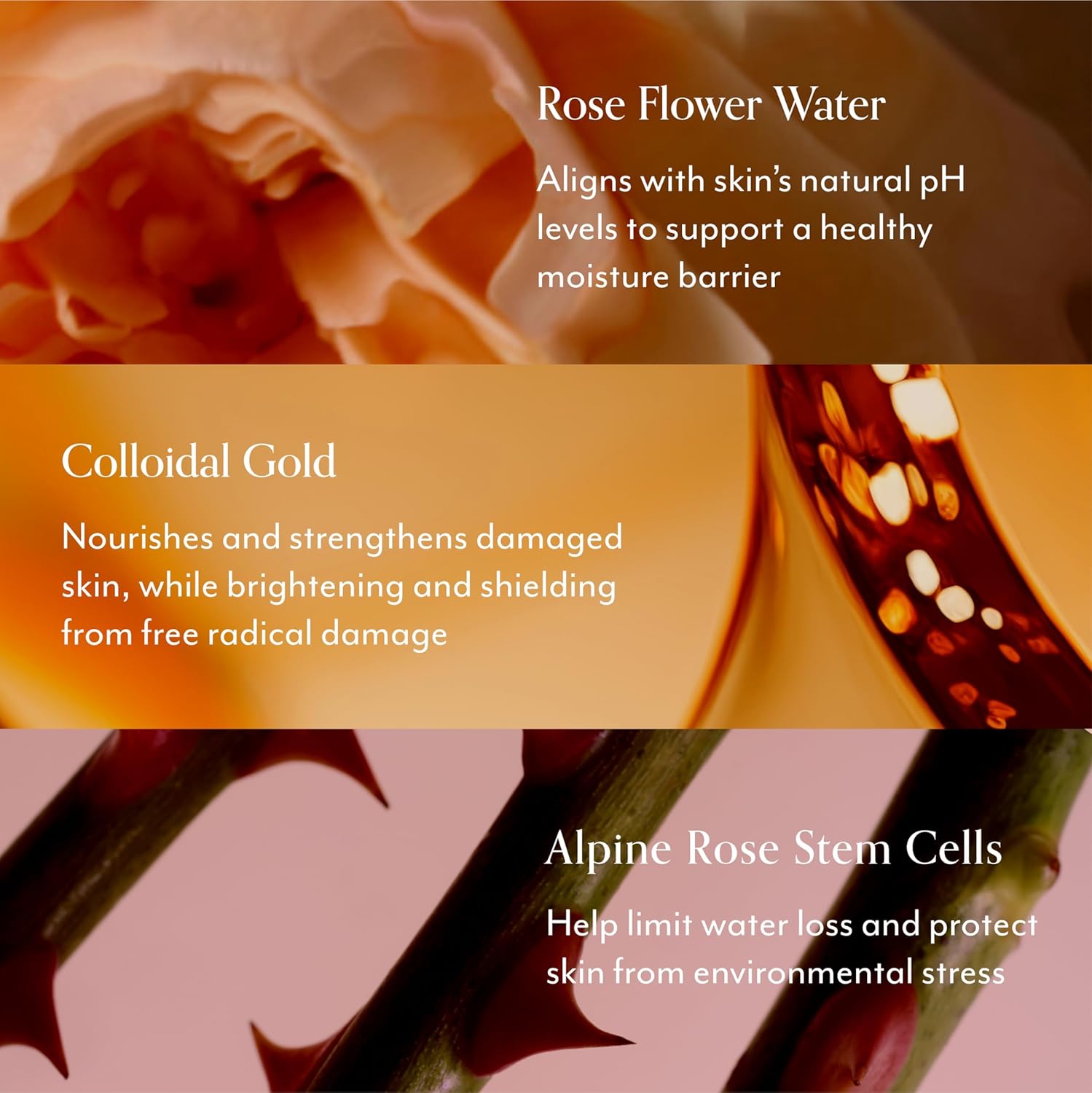 Bliss Rose Gold Rescue Gentle Moisturizer for Sensitive Skin | Fragrance-Free, Calming Daily Hydration with Rose Water & Colloidal Gold| 1.7 oz-FemmiqueWomen