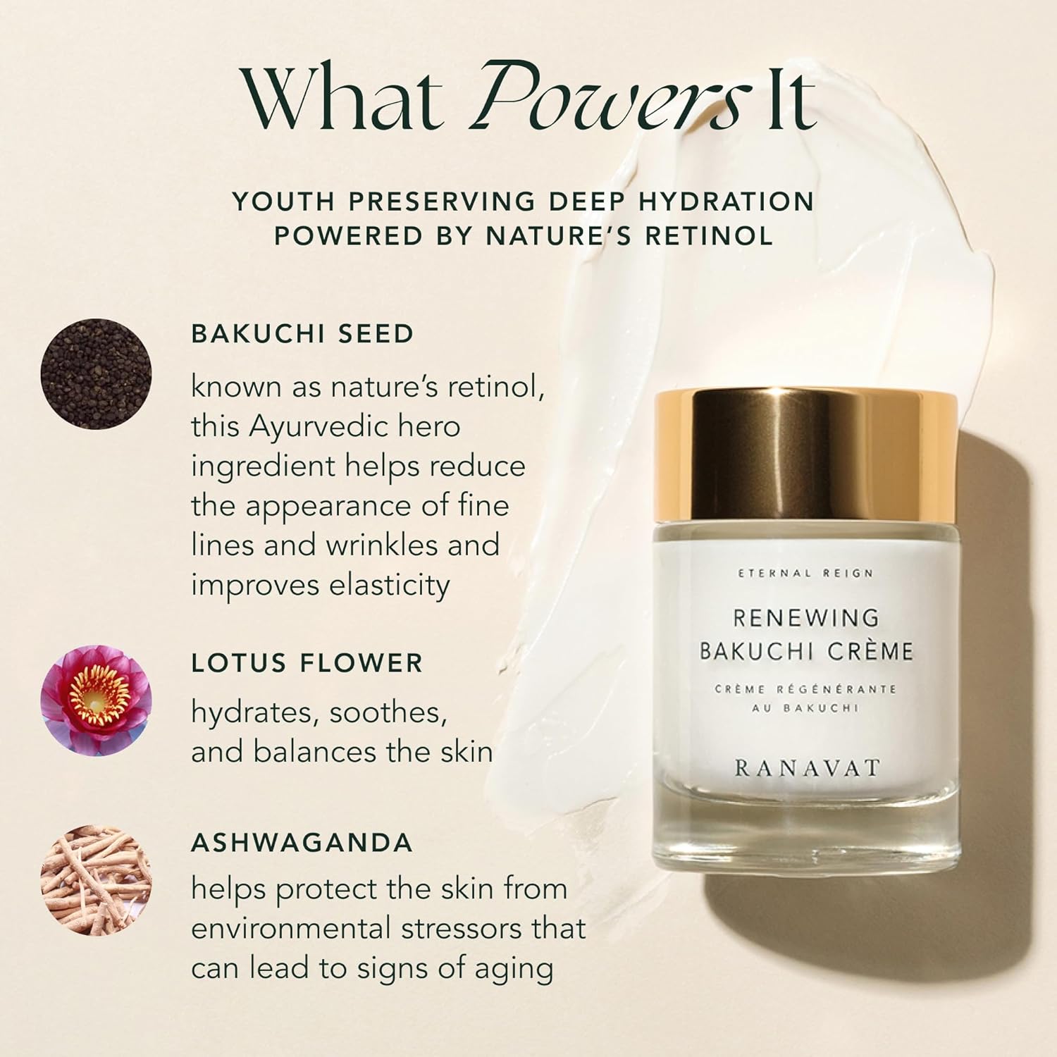 RANAVAT Renewing Bakuchi Face Cream - Daily Face Moisturizer with 12 Hour Hydration to Boost Skin Barrier Function - Softens Fine Lines + Wrinkles with Lotus Flower, Bakuchi & Ashwagandha (1.7 oz)-FemmiqueWomen