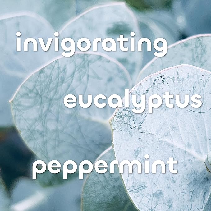 Seaweed Bath Co. Hydrate Body Cream, Eucalyptus Peppermint Scent, 6 Ounce, Nourishing Hand & Body Lotion Moisturizer for Dry Skin, with Sustainably Harvested Seaweed, Kukui Oil, Hyaluronic Acid-FemmiqueWomen