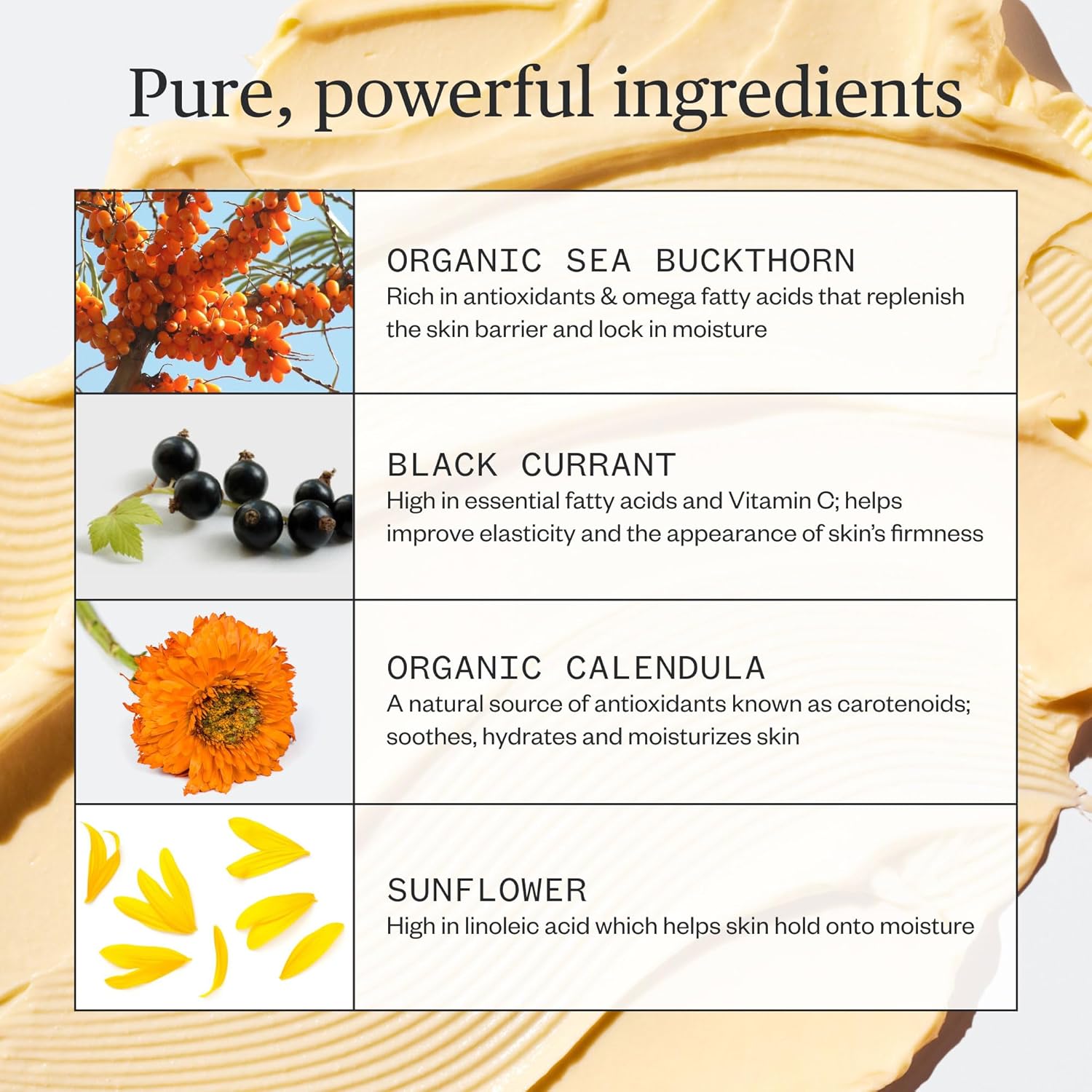 Ursa Major Golden Hour Face Moisturizer | Vegan Recovery Cream for Daily Facial Moisturizing | Repair & Hydrate | Natural Formula for All Skin Types | Cruelty Free & Non-Toxic 1.57 oz-FemmiqueWomen