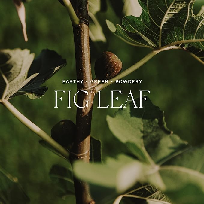 Antica Farmacista Body Moisturizer - Moisturizing Scented Lotion - Premium Body Moisturizer - Luxury Gift for Women & Men - Hand & Skin Hydration - Fig Leaf, 10 Fl Oz-FemmiqueWomen