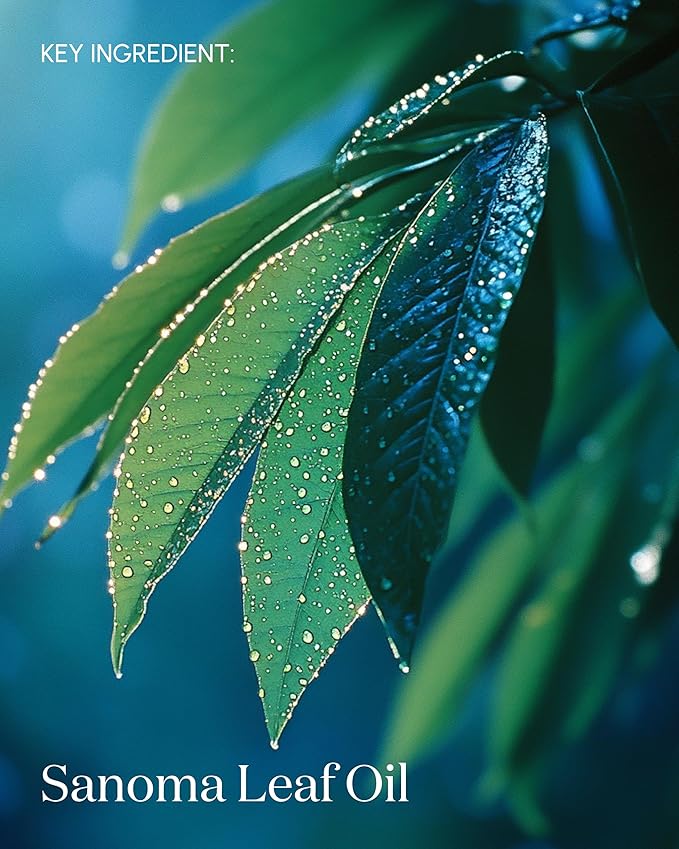 Rewind003 Age-Defying Face Oil, Stimulating and Rehydrating Skin Oil for the Face, Postbiomic Blend Face Oil Moisturizer, Vegan & Organic Face Oil, 30mL-FemmiqueWomen