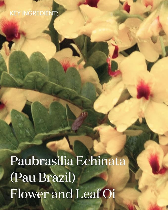 The Premise Postbiomic Body Oil, After Shower Toning & Transformative Body Care, Vegan & Organic Fermented Skin Oil, 100 mL Rejuvenating Oil for Skin & Body-FemmiqueWomen