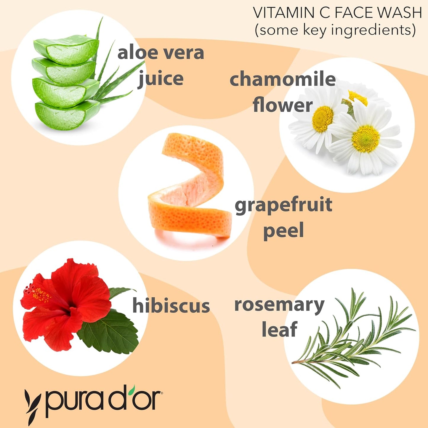 PURA D'OR Vitamin C Face Wash (8oz x3 = 24oz) Antioxidant Rich Facial Cleanser For Radiant Glow & Even Skin Tone - Gentle, Refreshing, Nurturing, Hydrating, Sulfate & Paraben Free Formula-FemmiqueWomen