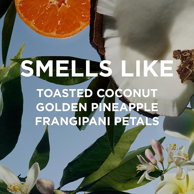 By Rosie Jane Everyday Body Milk (Missy) - Hydrating Toner & Body Moisturizer to Help Even Skin Tone - Infused with Soothing Aloe Vera and Turmeric Root to Promote Anti-Aging (5 Ounce)-FemmiqueWomen