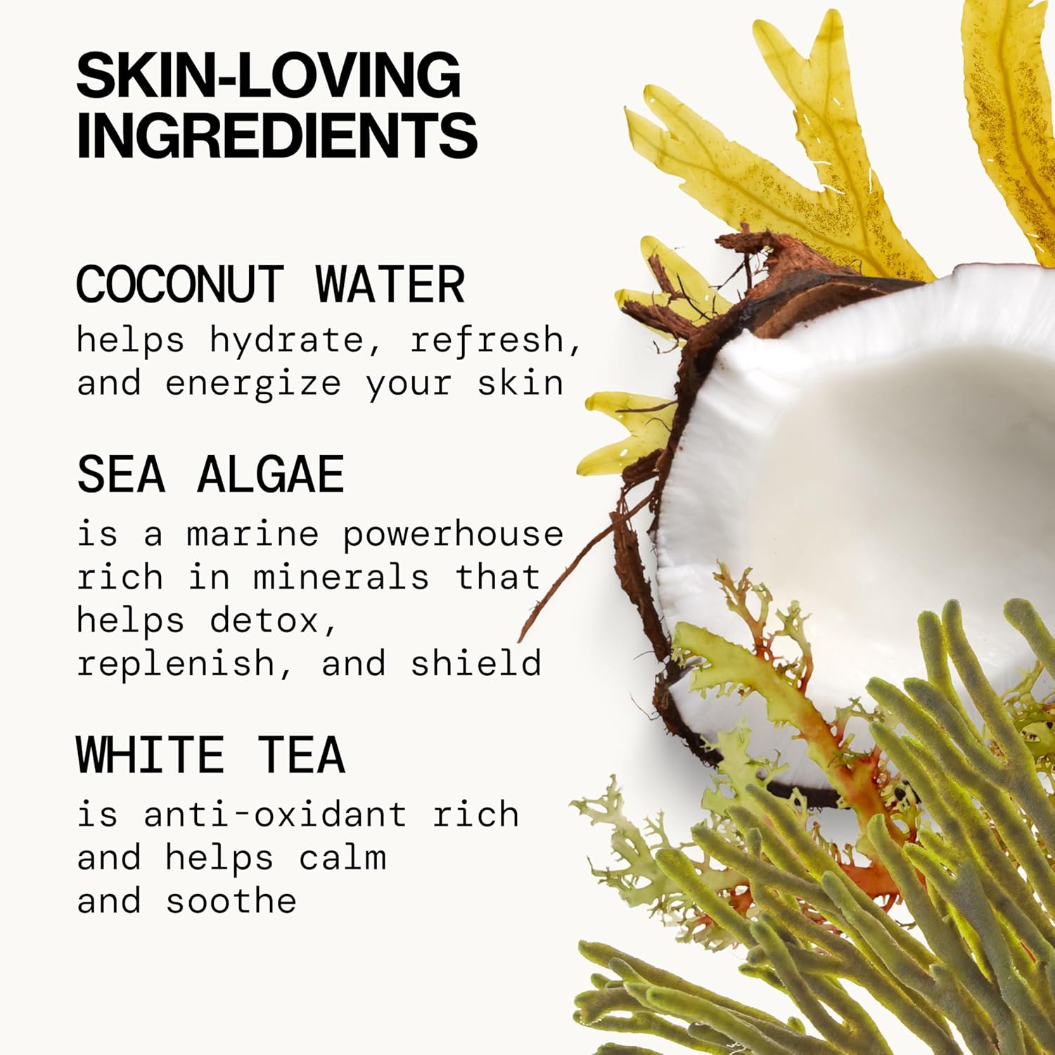 Pacifica Beauty Sea Foam Face Cleanser, Daily Gentle Foaming Face Wash, With Coconut Water + Sea Algae Complex, Removes Makeup, For Combination and Oily Skin, Vegan and Cruelty Free, Clean Skin Care-FemmiqueWomen