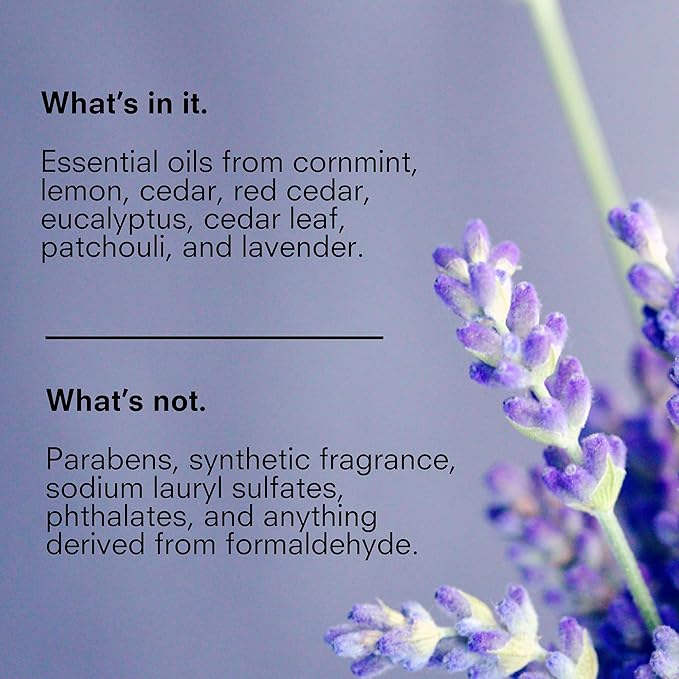 Public Goods Body & Hand Lotion for Women & Men | Natural Moisturizing Daily Lotion for Dry & Itchy Skin | Paraben & Sulfate Free | Made with Organic Essential Oils | Made in Canada | 12 Fl Oz Bottle-FemmiqueWomen