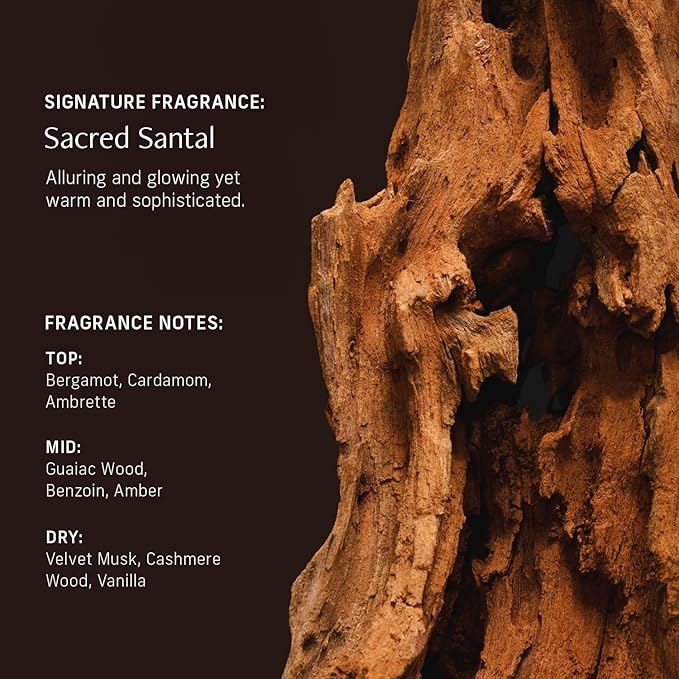 Nutrient Rich Body Cream. Sacred Santal Nourishing Moisturizer with Niacinamide and Banana Flower Extract. Deep Hydration, Thick Body Lotion, Dry Skin Cream for Women and Men, 8 Fl Oz-FemmiqueWomen