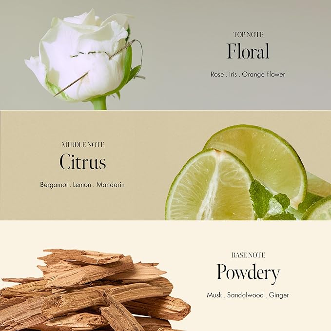 Rosy Night Repair Shampoo – Anti-Dandruff & Damage Repair with Damask Rose Water & Ceramide – Color Safe, Silicone & Sulfate Free (15.22 fl. Oz)-FemmiqueWomen