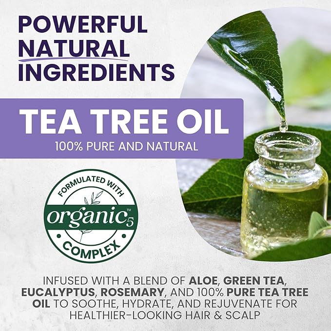 Tea Tree Purple Shampoo for Blonde, Bleached, Silver & Grey Hair, Anti-Brass Toner, Boosts Highlights & Color, Revitalizes, Relieves Itchy Scalp & Salon-Grade Hair Toner Shampoo.-FemmiqueWomen