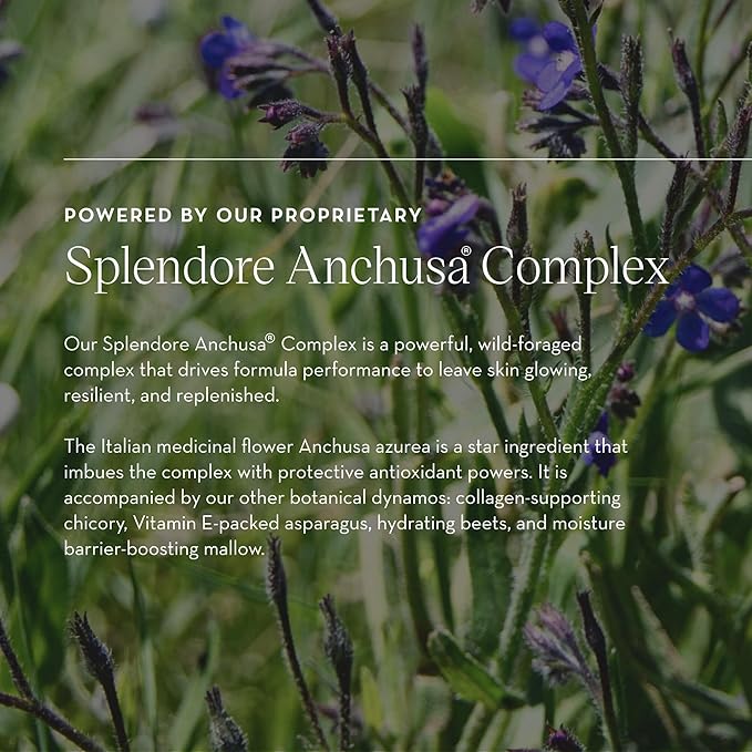 Furtuna Skin Micellar Cleansing Essence Water - Dual-Use Cleanser & Toner, Nutrient-Rich, pH Balanced, Organic Botanicals, Dermatologist Approved-FemmiqueWomen