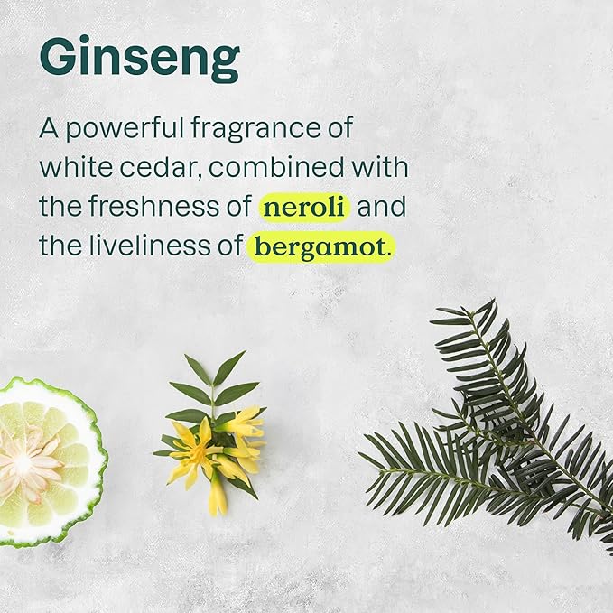 ATTITUDE Body Cream, EWG Verified Moisturizer, Vegan Moisturizing Products For Dry Skin, Dermatologically Tested, Ginseng and Grapeseed Oil, 8 Fl Oz-FemmiqueWomen