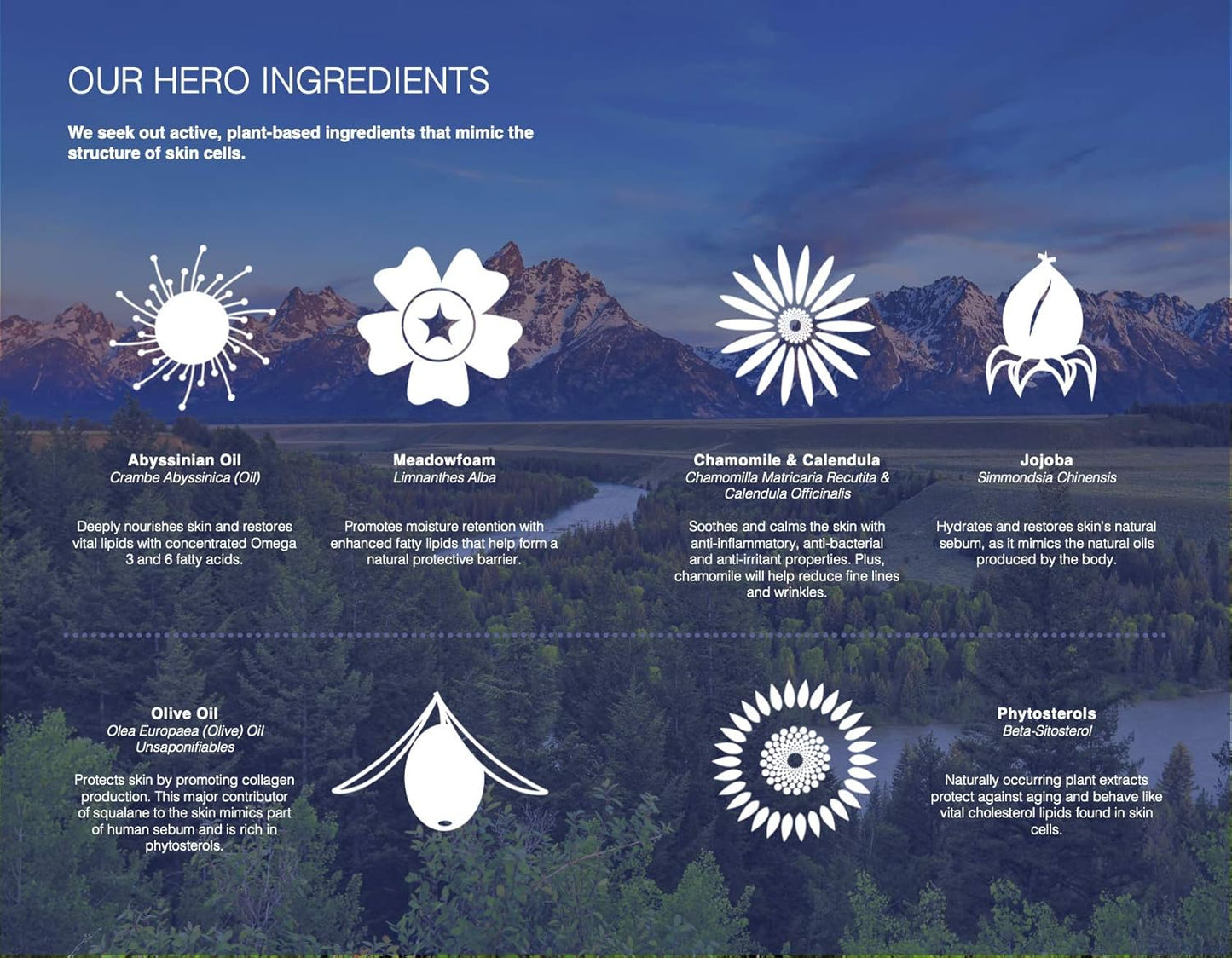 Trilipiderm Hydrating Exfoliant Cleanser – 3-in-1 Face Cleanser, Scrub & Hydrator, Fragrance-Free, Daily Facial Cleanser, Travel Size 3 Ounce Tube-FemmiqueWomen