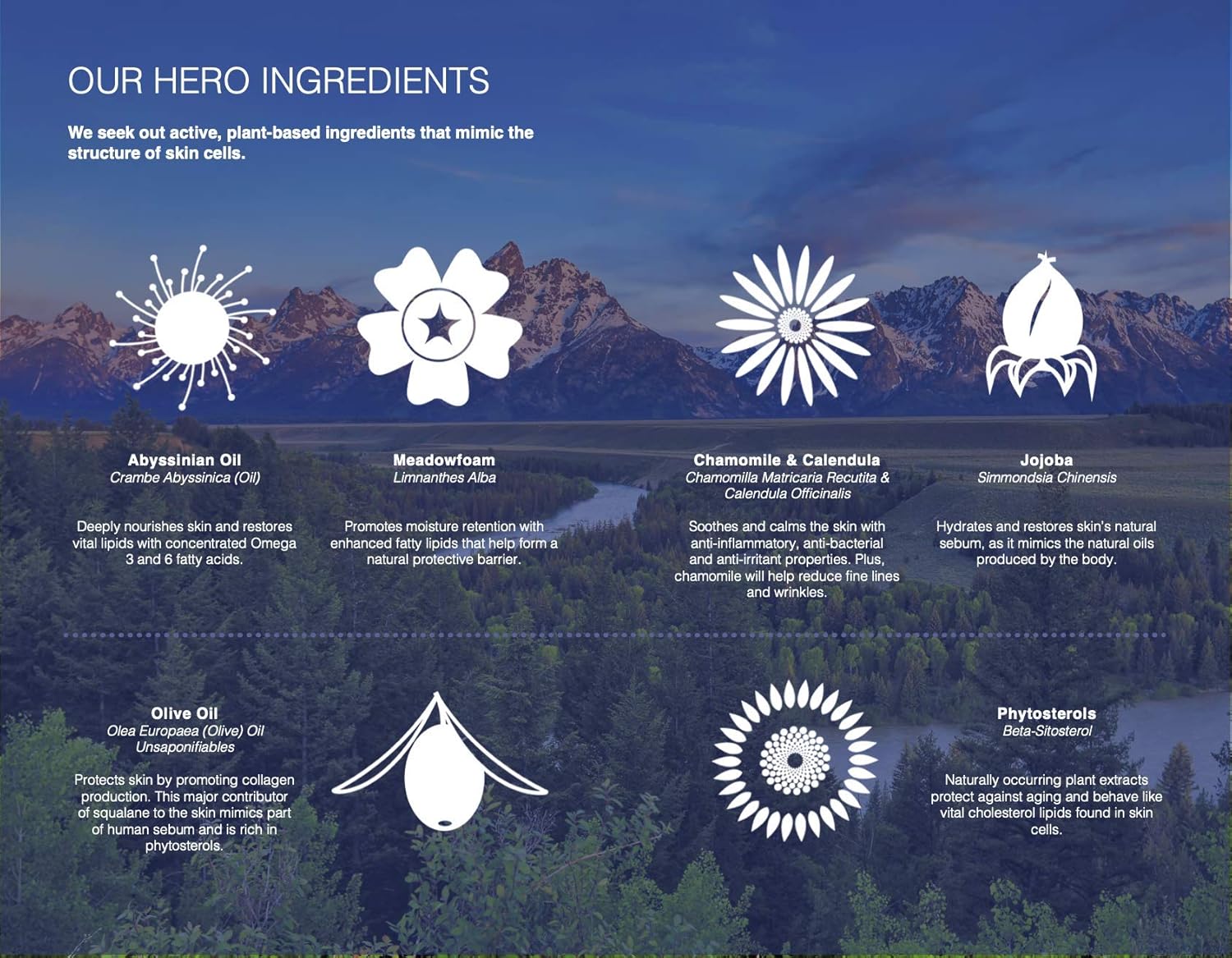 Trilipiderm Hydrating Exfoliant Cleanser – 3-in-1 Face Cleanser, Scrub & Hydrator, Fragrance-Free, Daily Facial Cleanser, Travel Size 3 Ounce Tube-FemmiqueWomen