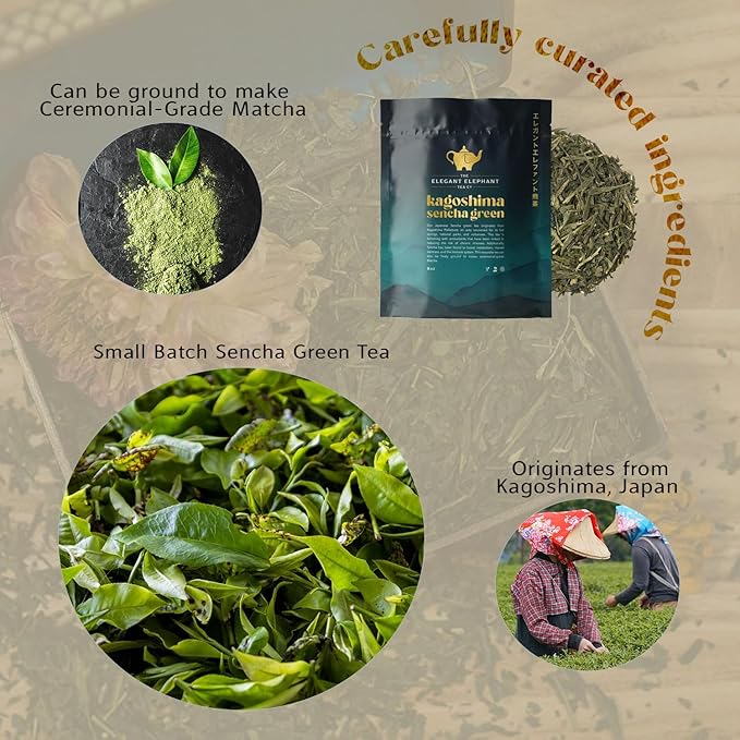 Japanese Sencha Green Tea, Organic Loose Leaf Sencha Tea – Antioxidant & Detox Support – Refreshing Hot or Iced Green Tea – 8 oz Resealable Bag (Makes 100 Cups) – The Elegant Elephant-FemmiqueWomen