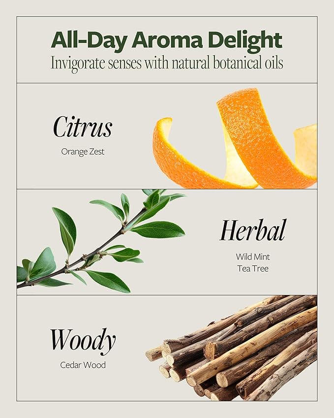 LAPCOS DR.14 REVITALIZING SCALP CARE SHAMPOO-FemmiqueWomen