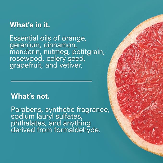 Public Goods Hand Soap | Cleansing Soap for Kitchen & Bathroom | Made with Natural Essential Oils | Paraben & Sulfate Free | Vegan Friendly | Made in Canada | 12 Fl Oz Bottle with Dispenser Pump-FemmiqueWomen