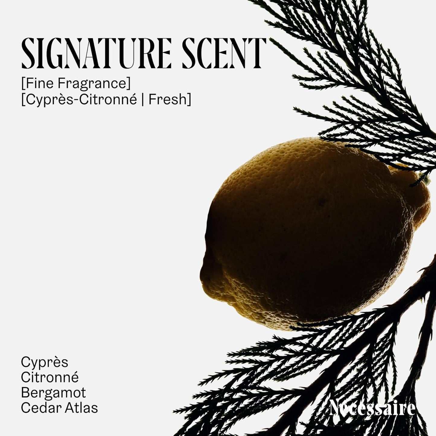 Nécessaire The Body Lotion Cyprès-Citronné – Multi-Peptide Body Moisturizer for Women + Men – Non-Comedogenic Body Lotion with Niacinamide – 450ml/15.2 fl oz-FemmiqueWomen