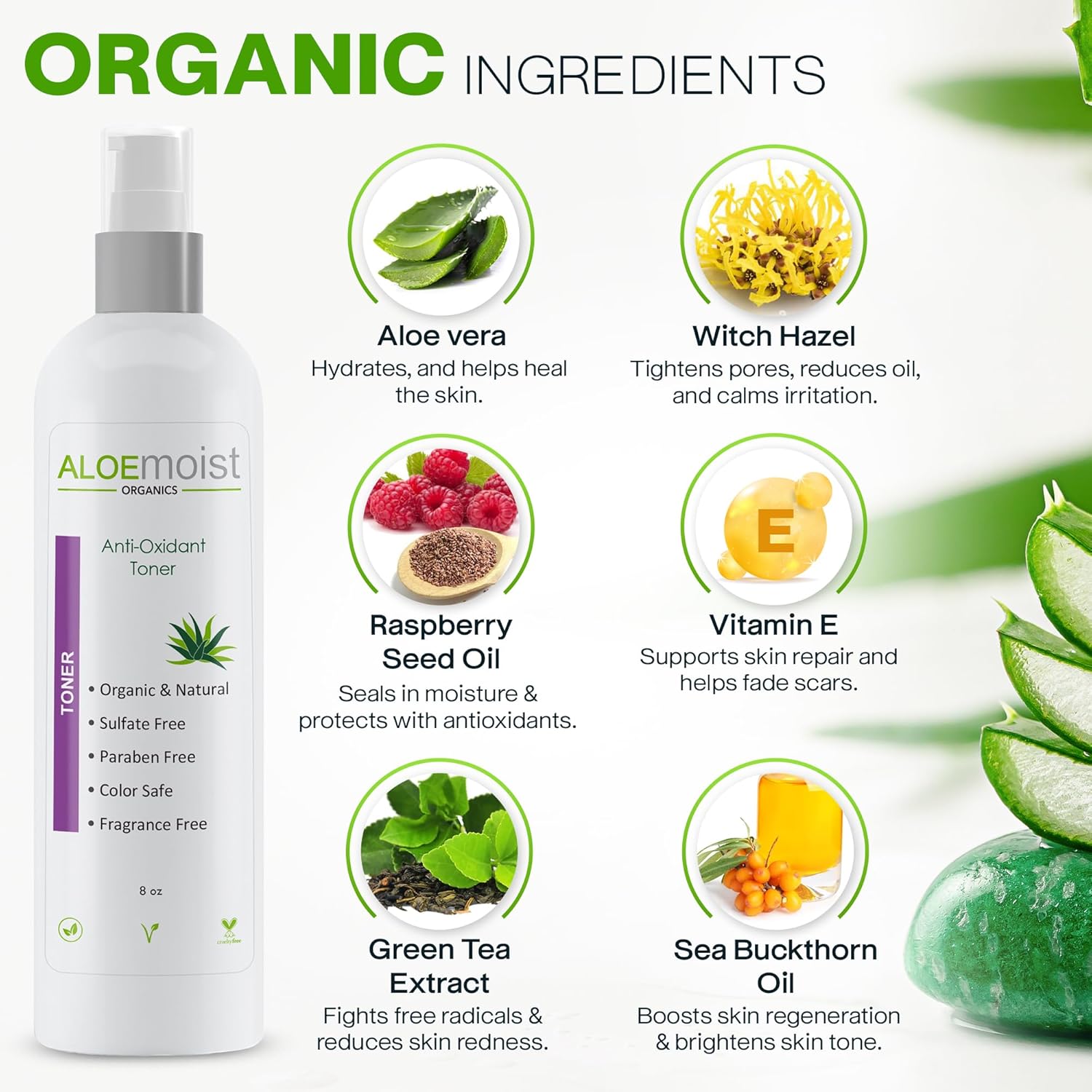 Green Tea Toner for Face: Pore Minimizing, pH Balancing & Hydrating Facial Toner for Aging Skin with Calming Aloe Vera & Antioxidant Green Tea Skincare for Women Dry, Oily, Acne Prone & Sensitive Skin-FemmiqueWomen