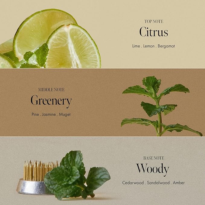 Lime Sunday Refresh Shampoo with Vitamin C, Korean Jeju Tangerine, Mint & Almond Powder for Oily Scalp Care – Exfoliating, Deep Cleansing, Lime Citrus Scent, Silicone & Paraben-Free (15.22 fl.oz)-FemmiqueWomen