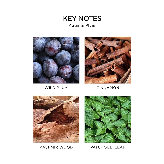 NEST New York Liquid Soap, Autumn Plum - 10 fl oz - Cleanses & Nourishes Skin - Approx. 300 Pumps Per Bottle - Gluten Free & Cruelty Free-FemmiqueWomen