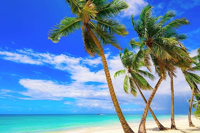 US Organic Fractionated Coconut MCT Oil (Liquid Coconut Oil), USDA Certified Organic, Non-GMO, Perfect for massage, carrier oil for DIY blends, Hair, Skin care. 100% Pure, Hexane-Free (8 oz)-FemmiqueWomen