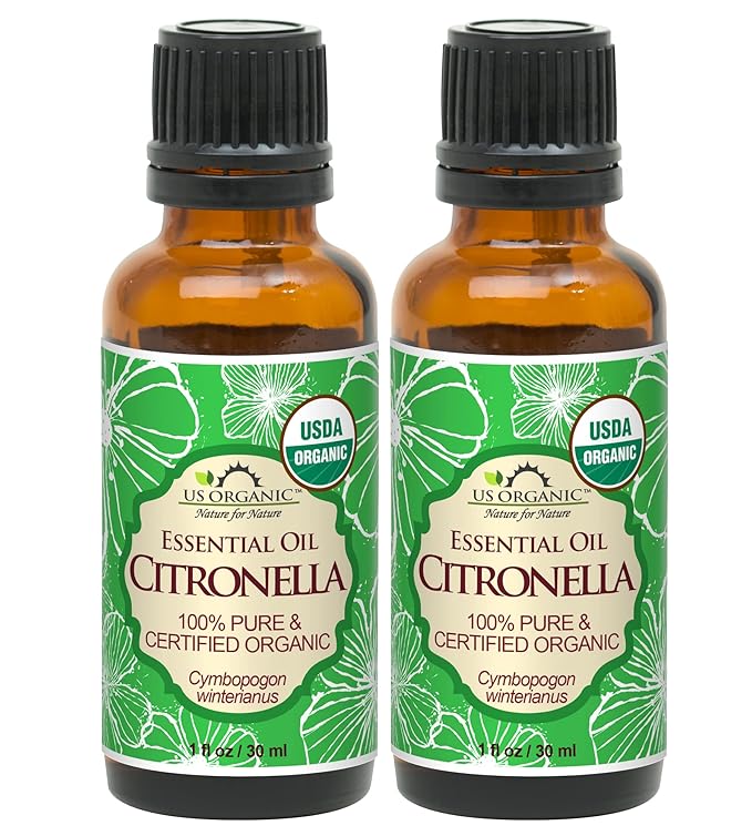 US Organic Citronella Essential Oil, USDA Certified, 100% Pure, 30 ml Pack of 2, Improved caps and droppers – Used for Skin Care, Many DIY Projects Like Candle Making and Much More-FemmiqueWomen
