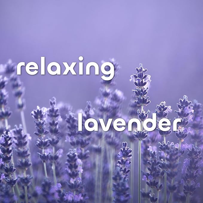 Seaweed Bath Co. Hydrate Body Cream, Lavender Scent, 6 Ounce, Nourishing Hand & Body Lotion Moisturizer for Dry Skin, with Sustainably Harvested Seaweed, Kukui Oil, Hyaluronic Acid, Shea Butter-FemmiqueWomen