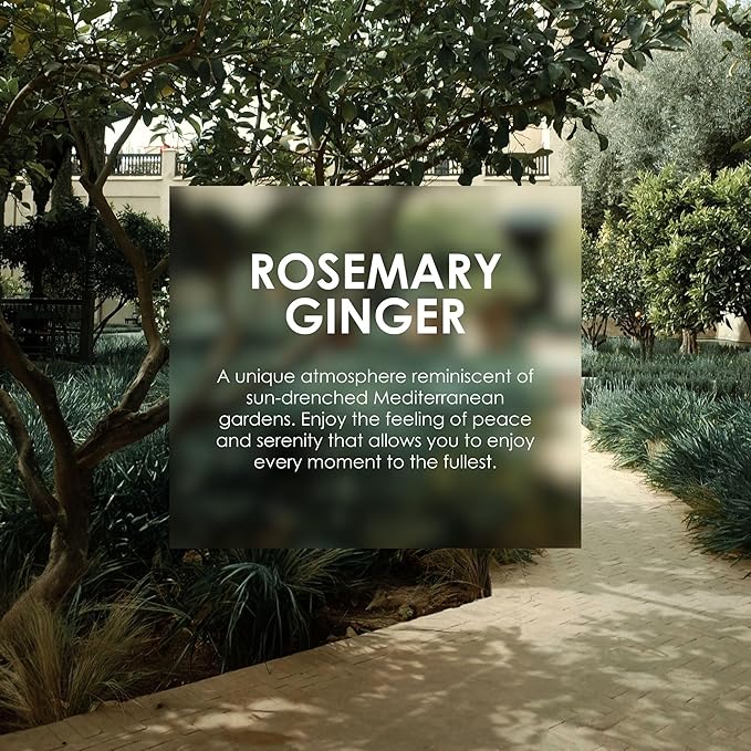 Jean & Len Heavenly Hand & Body Balm Rosemary & Ginger, for a fragrant care experience, with organic argan oil and shea butter, minimalistic bottle, without parabens & silicones, 16.91 Fl. Oz.-FemmiqueWomen