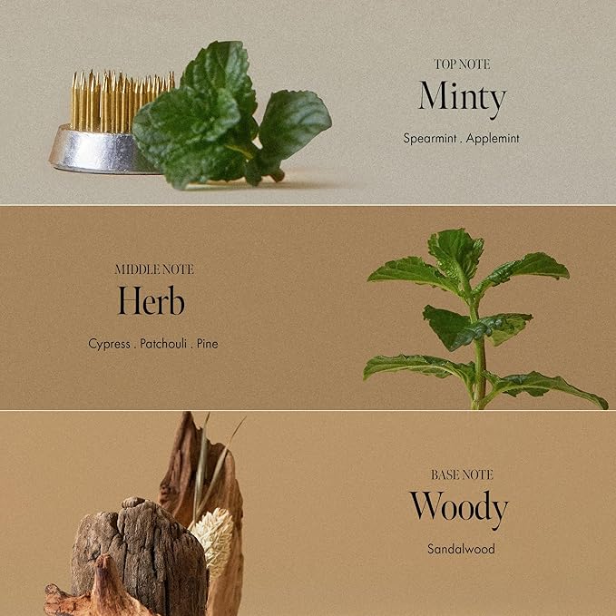 Dark Beer Biome Shampoo - Vegan Anti-Hair Loss Sclap Care with Caffeine & Green Mint Complex for Thicker Stronger Hair- Deep Cleansing, Oil Control & Cooling Effect, Sulfate-Free 500 ml / 16.9 fl oz-FemmiqueWomen