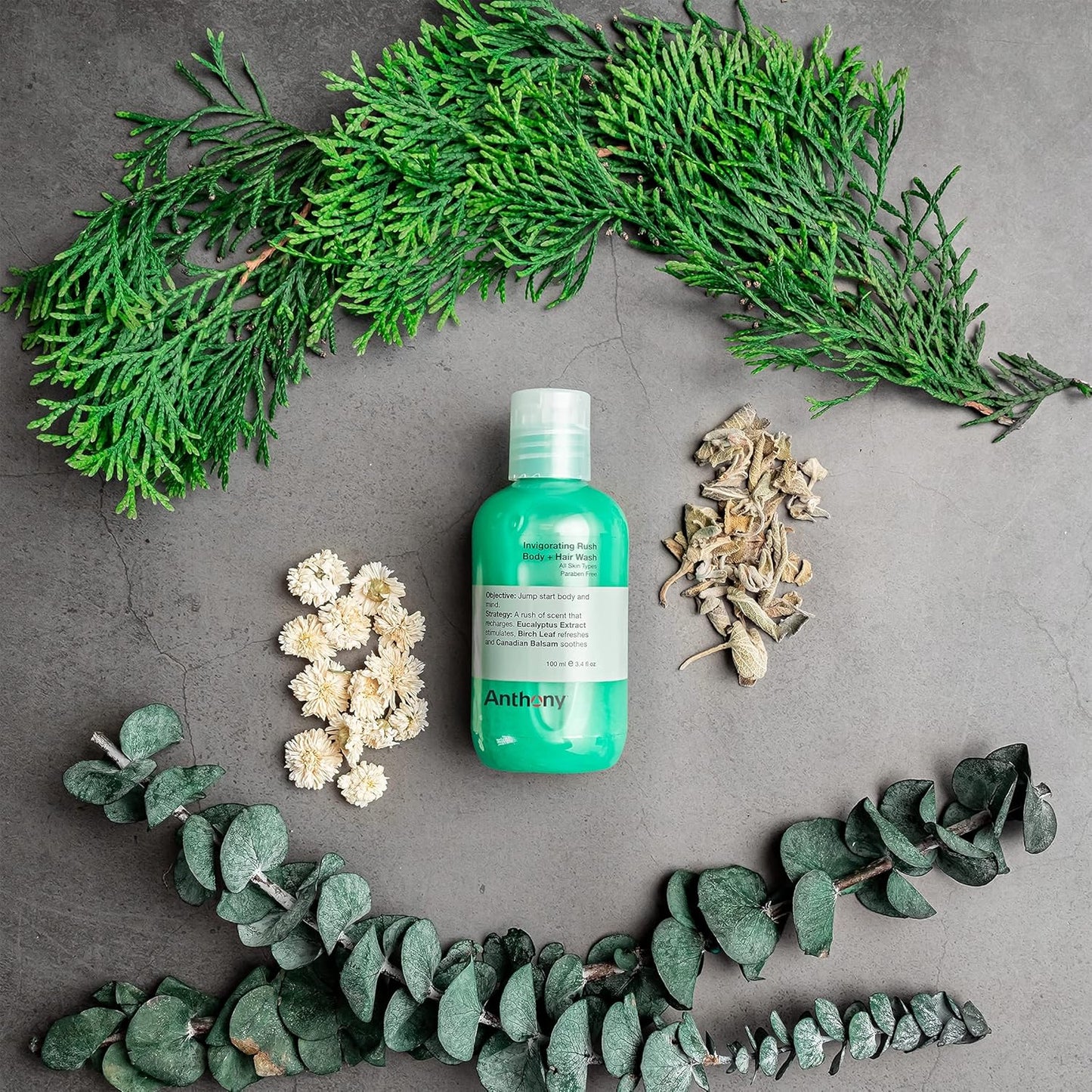 Anthony Mens Body Wash and Shampoo: Invigorating Rush 2-In-1 Liquid Gel Soap & Hair Shampoo, Pine Wood Scent, Hydrating with Eucalyptus, Canadian Balsam, Birch Leaf, Charcoal, Sea Kelp, 3.4 Fl. Oz-FemmiqueWomen